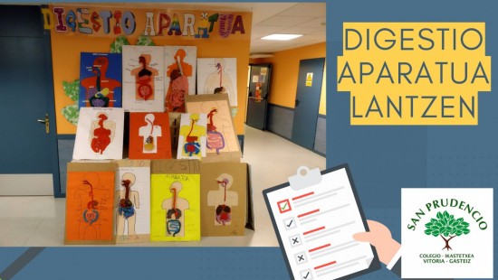 ¡¡Los de 5º de Primaria trabajando el aparato digestivo!!